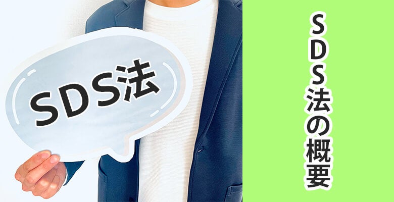SDS法の概要