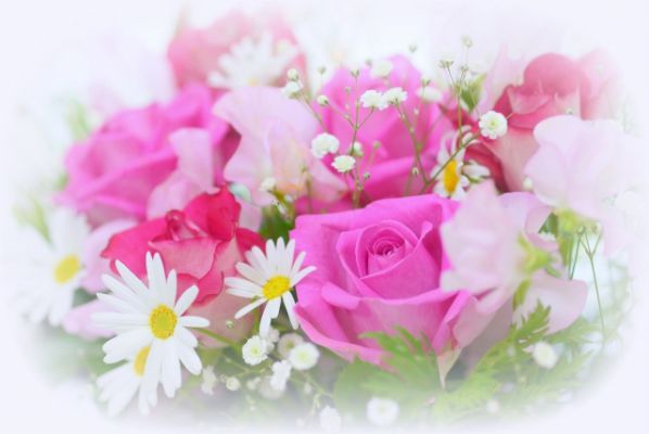 士業向け お祝い花の選び方と花贈りのマナー 電話代行ビジネスインフォメーション