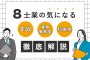 ８士業の気になる年収、資格難易度、将来性を徹底比較！