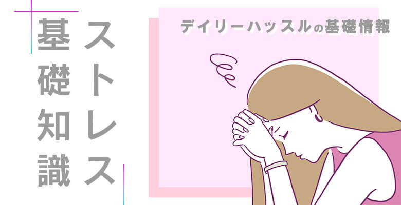 デイリーハッスルの基礎情報