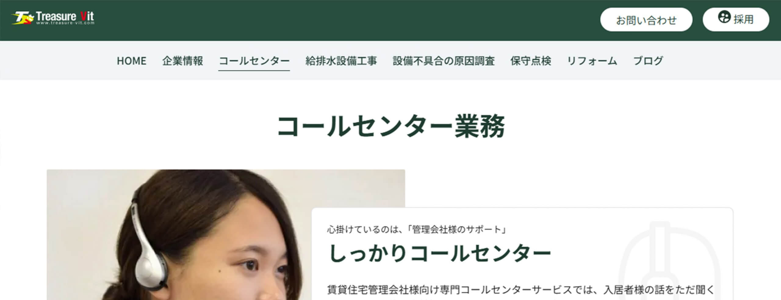 treasure-vit企業HP画像